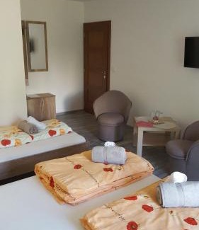 Bardejovske Kupele House | Discover Penzión Zunama: Family-Friendly with Breakfast & Kitchen