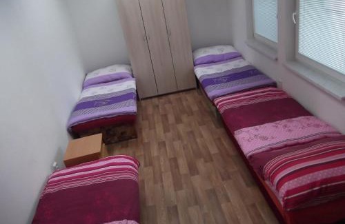 Zlin House | Pet-Friendly Penzion Apartmány Zlín with Breakfast & Family Fun