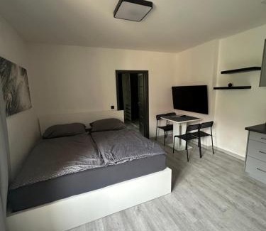 Zatec Apartment | Pet-Friendly Penzion Fortuna Žatec with Family Amenities