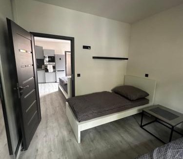 Zatec Apartment | Pet-Friendly Penzion Fortuna Žatec with Family Amenities