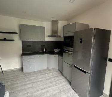 Zatec Apartment | Pet-Friendly Penzion Fortuna Žatec with Family Amenities