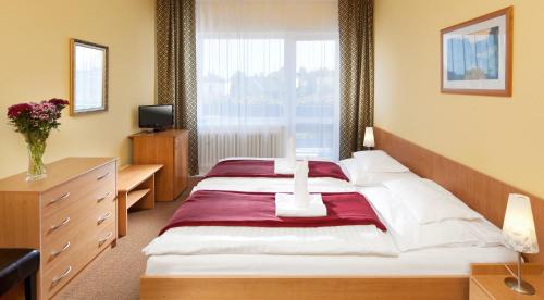 Frantiskovy Lazne Hotel | Relaxing Retreat at Penzion Hubert Františkovy Lázně