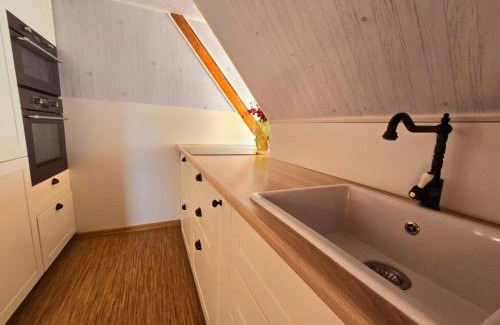 Hejtmankovice Apartment | Pet-Friendly Escape at Penzion Jízdárna Hejtmánkovice
