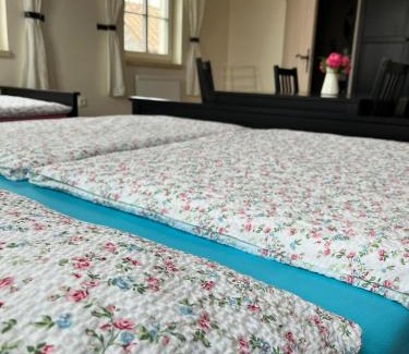 Boretice House | Pet-Friendly Penzion Jako Ze Škatulky with Family Amenities