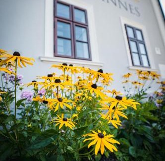Stara Ves Apartment | Family-Friendly Penzion Johannes in Rýmařov - Stará Ves