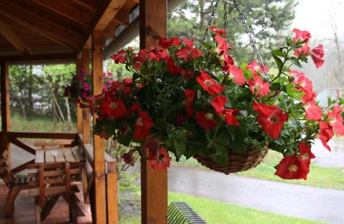 Vetrni Hotel | Top-Rated Penzion Na Cihelně: Pet-Friendly & Family Welcoming