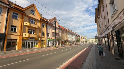 Hradec Kralove House | Pet and Child Friendly Stays at Penzion Pupendo