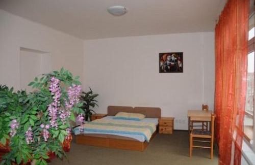 Hradec Kralove House | Pet and Child Friendly Stays at Penzion Pupendo