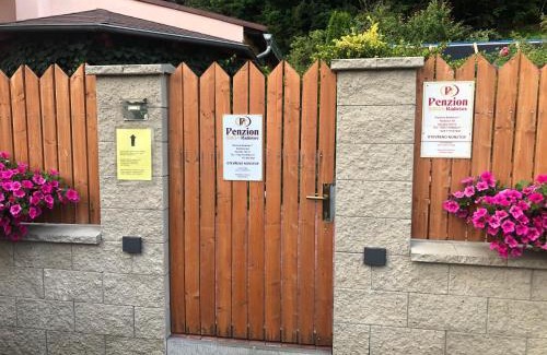 Kysibl Kyselka House | Pet-Friendly Retreat at Penzion Radošov with High Ratings