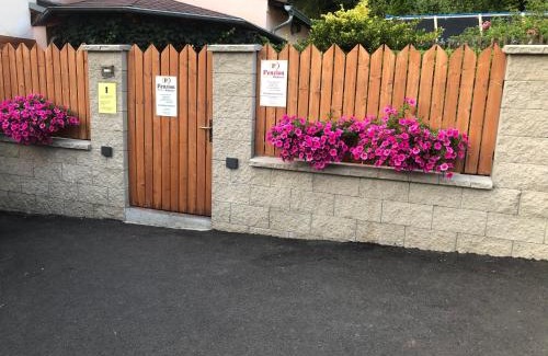 Kysibl Kyselka House | Pet-Friendly Retreat at Penzion Radošov with High Ratings