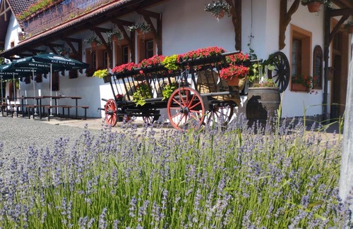 Libun House | Discover Penzion Restaurace u Helferů - Rated 9/10 Stay
