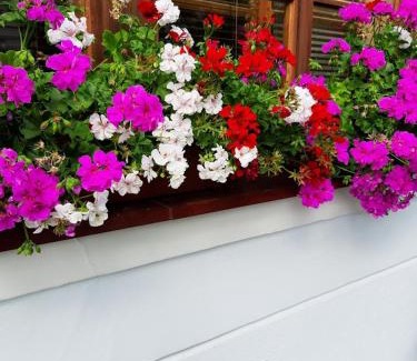 Mikulov House | Discover Penzion U Žabáka: Pet-Friendly & 9/10 Rating