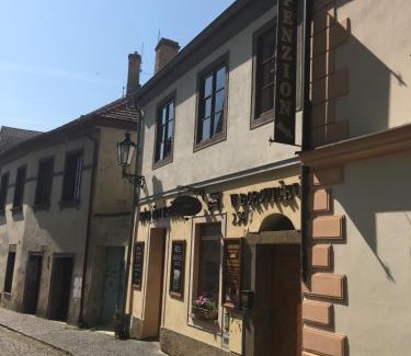 Litomerice House | Family-Friendly Penzion U Borovičků with High Guest Ratings