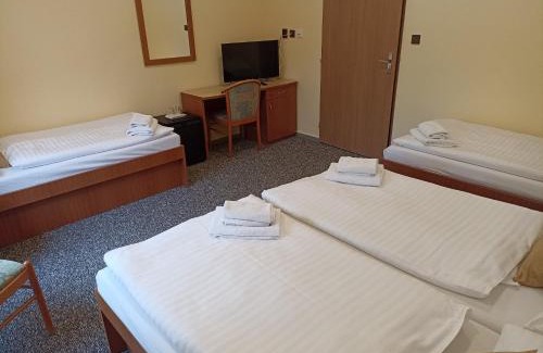 Mlade Buky House | Exceptional Stay at Penzion U Halířů with Hot Tub & Dining