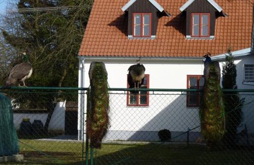 Pistina House | Pet-Friendly Penzion U Houšků with Oceanfront Pool & Spa