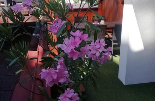 Jindrichuv Hradec Hotel | Family-Friendly Retreat at Penzion U Papoušků - Rated 9.2!