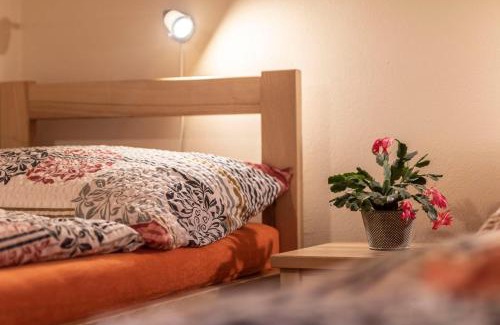 Cervena Voda House | Oceanfront Penzion u Vichu with Pool & 9.5/10 Rating