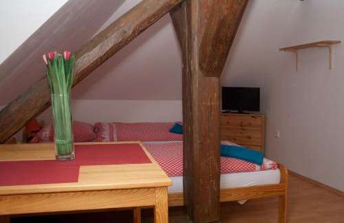 Karlova Studanka House | Pet-Friendly Penzion u Vodopádu with Cozy Fireplace