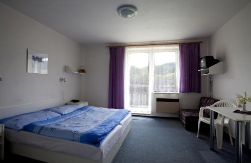 Velke Losiny House | Discover Penzion Vaněk: Family-Friendly Stay with Accessibility