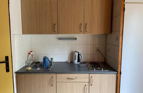 Nebrich Apartment | Pet-Friendly Retreat at PENZION VIB Nová Živohošť