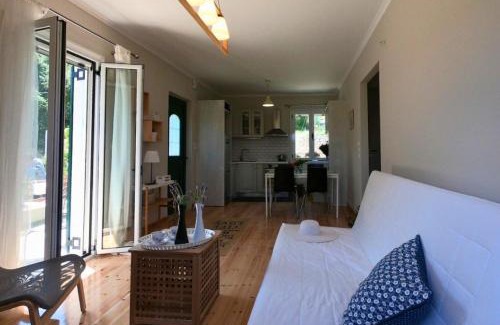 Asprogerakata Apartment | Top-Rated Peonia Lefkas Flower: Family-Friendly Retreat