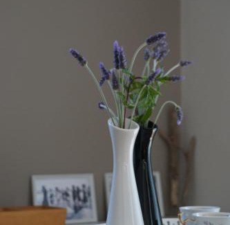 Asprogerakata Apartment | Top-Rated Peonia Lefkas Flower: Family-Friendly Retreat