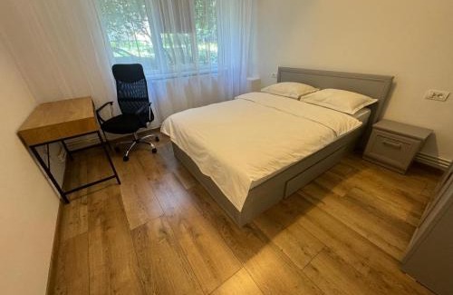 Craiova Apartment | Ideal Peony Apartment: Rated 9.7/10, Pet-Friendly Stay