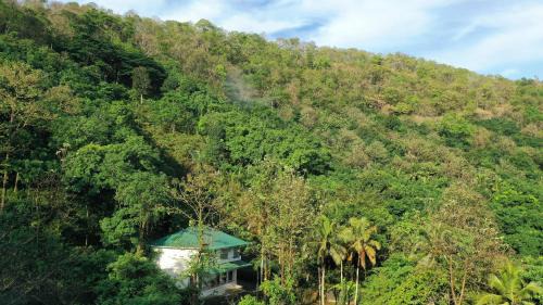 Punalur Hotel | Pepper and Clove Enclave