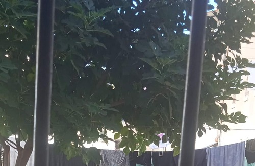 Ciudad Real Condo | Pequeño Piso
