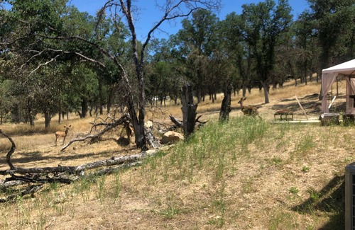 Hidden Valley Lake House | Enchanting Hidden Gem in Beautiful Hidden Valley Lake