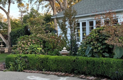 Fig Garden Apartment | Private Studio Retreat in Historic Old Fig District