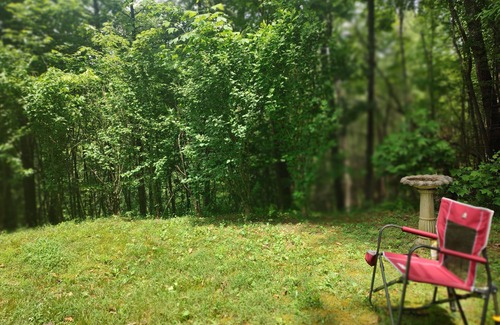 Turtletown Cabin | Nature Retreat: Perfectly Imperfect Cabin Near Blue Ridge