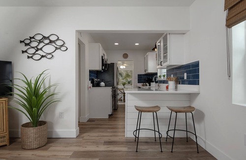 Dunedin Cottage | Discover Palms Cottage Dunedin: Oceanfront Bliss Awaits