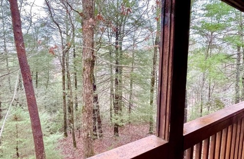 Tellico Plains Cabin | Private Studio Cabin with Hot Tub and King Bed Awaits!