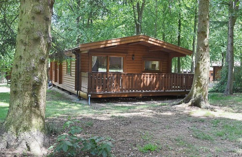 Kenwick Cottage | Tranquil Retreat in Kenwick Woods with Family-Friendly Amenities