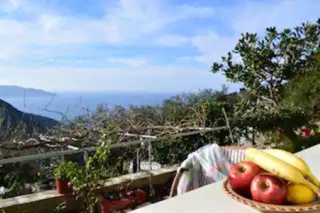 Dhrakata House | Pet-Friendly Retreat at Perfetto Country House - Myrtos View