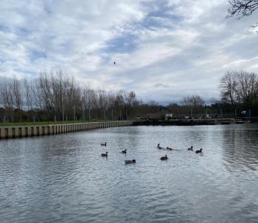 Pershore Hotel | Pet-Friendly Pershore Rooms at The Star – Rated 9/10!