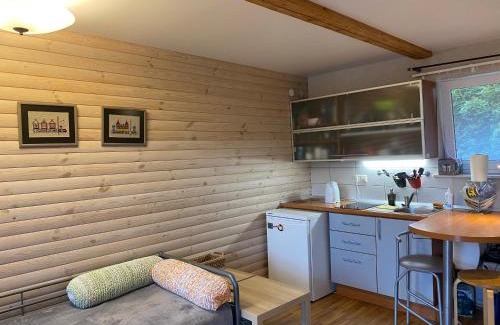 Pervalka Apartment | Family-Friendly Retreat at Pervalkos Dainava Awaits You