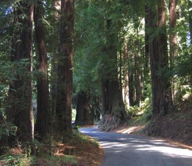Pescadero House | Delightful Pescadero Creek Inn - Wheelchair Accessible Haven