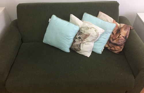 Canela Apartment | Cozy Pet-Friendly Apartment with Kitchen Amenities