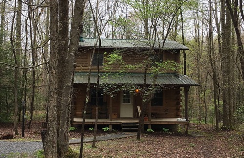 Hico Cabin | Cozy Pet Friendly Appalachian Cabin with Spa & Pool
