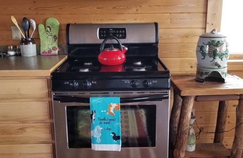 Livingston Cabin | Pet Friendly Emigrant Pk Cabin Near Yellowstone - 10/10 Rated