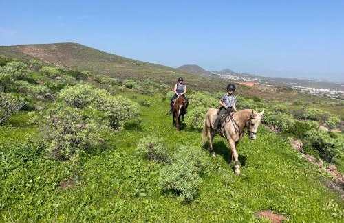 Telde Apartment | Pet-Friendly Country Home with Ocean View in Telde