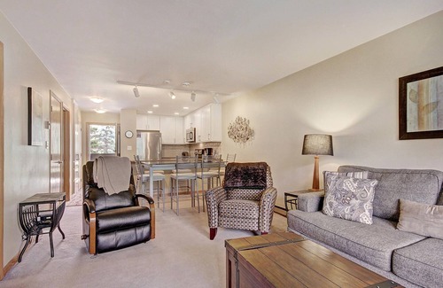 Mountain House Condo | Pet Friendly Keystone Hotel on River Trail - Walk to Events