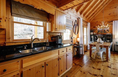 Hidden Lake Cabin | Pet-Friendly Lakefront Cabin with Views & Hot Tub Escape
