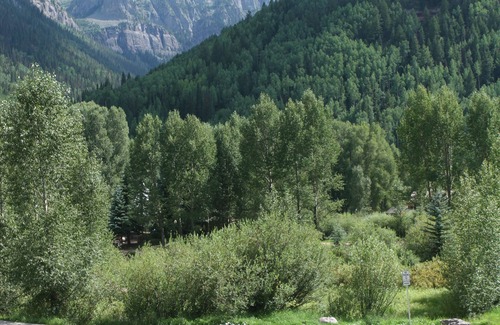 Telluride Condo | Exquisite Pet-Friendly Condo on Main Street - Rated 9.8/10