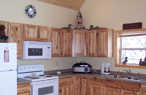 Crandon Cabin | Pet-Friendly Northwoods Cabin with Lake Views in Crandon