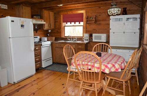 Townsend Cabin | Family-Friendly Retreat with Pet Access and River Views