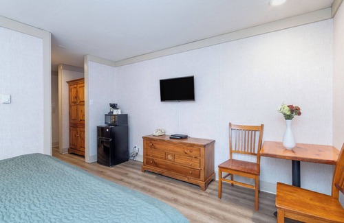 Telluride Hotel | Cozy Pet-Friendly Riverfront Room With King Bed