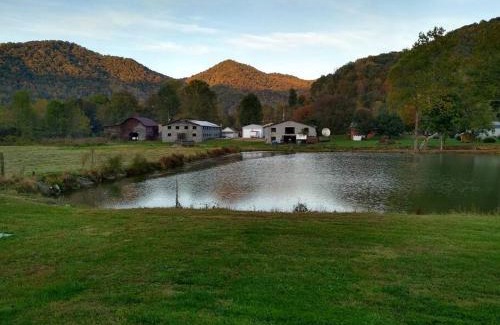 Barnardsville House | Pet-Friendly Rustic Cabin with Scenic Views Near Asheville